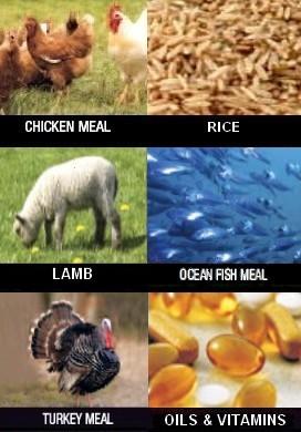 All natural & holistic ingredients